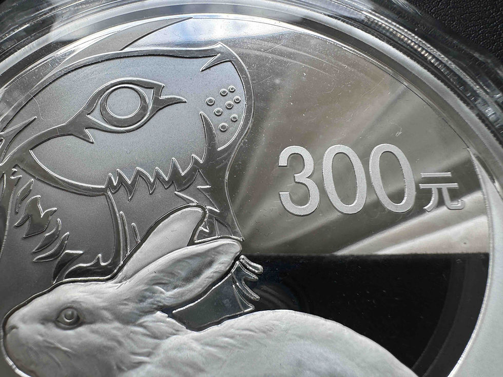 الصورة المصغرة: عملة فضية تذكارية لعام 2011، عام الأرنب الصيني (شينماو)، وزنها كيلوغرام واحد، من فئة البروف، قيمتها الاسمية 300 يوان، مصنوعة من الفضة الخالصة عيار 999، تم سك 3800 قطعة فقط.