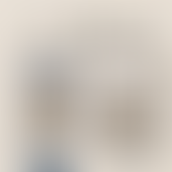 🪙 コイン鑑定会社の基礎知識:収集家と投資家のためのガイド