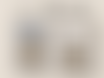 🪙 コイン鑑定会社の基礎知識:収集家と投資家のためのガイド