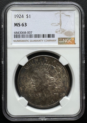 アメリカ ピースダラー銀貨1924 NGC MS 63 トーンコイン | GoldSilverJapan