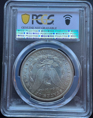 1899年 オースミント発行 モルガンダラー PCGS認定 Genuine（Cleaned