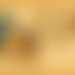 予算内で始めるコイン収集:初心者のための7つの実践的ヒント