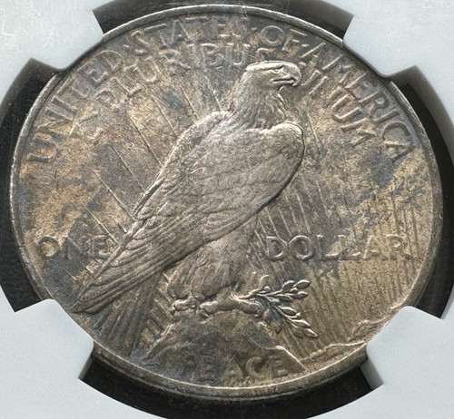 アメリカ ピースダラー銀貨1924 NGC MS 63 トーンコイン | GoldSilverJapan