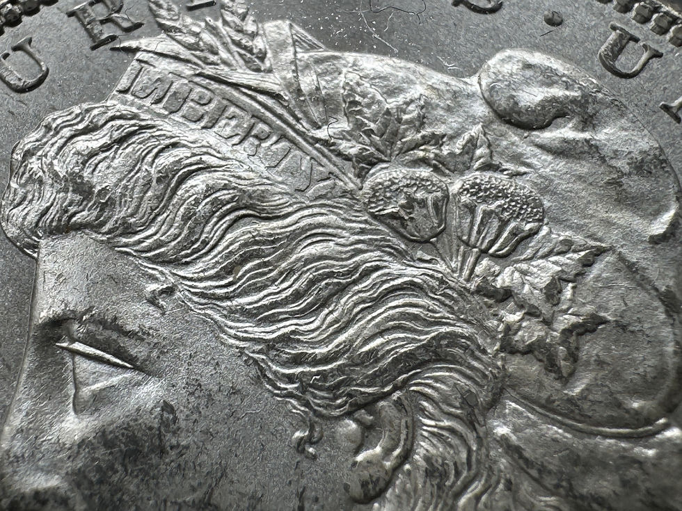 アメリカモルガンダラー銀貨1879-s MS-63 PCGS アメリカモルガンダラー銀貨1879-s MS-63 PCGS