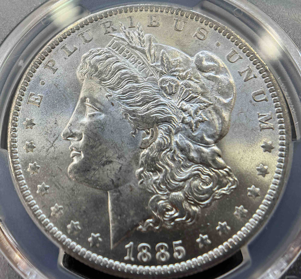 アメリカ モルガンダラー銀貨1885 o MS-64 PCGS | GoldSilverJapan