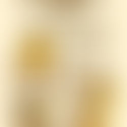 🪙 How to Find Out the Value of a Coin – A Complete Guide for Collectors and Investors