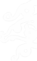 A black and white drawing of octopus tentacles.