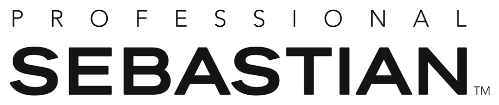 sebastian-professional-logo
