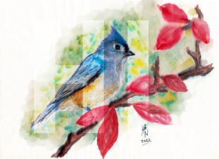 blue bird on a branch