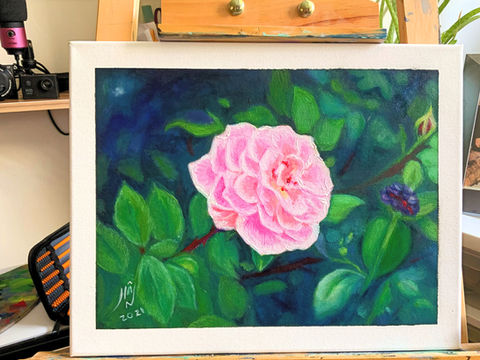 Arts & Illustrations