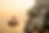 3 masted ship golden light with Gibraltor