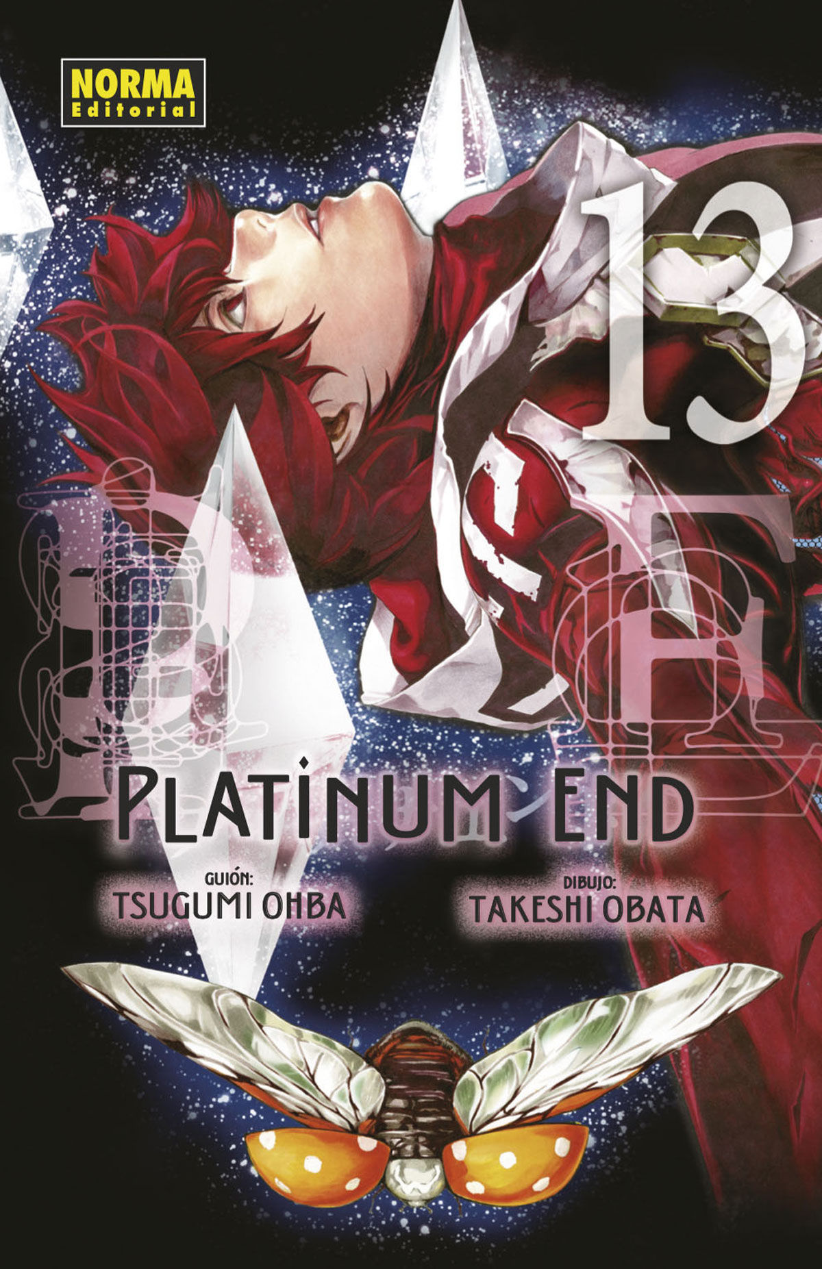 Platinum End Tomo 13
