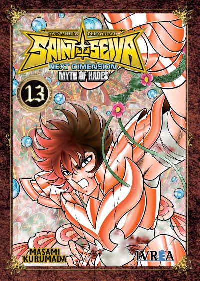 Saint Seiya Next Dimension-Myth of Hades Tomo 13
