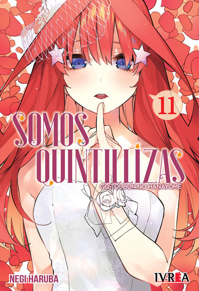 Somos Quintillizas Tomo 11