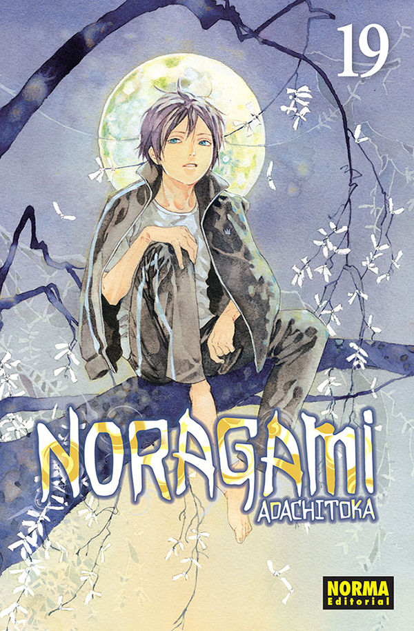 Noragami Tomo 19