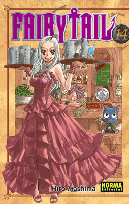 Fairy Tail Tomo 14