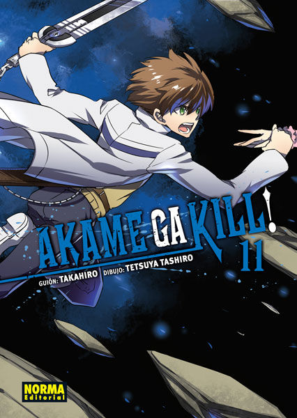 Akame Ga Kill Tomo 11