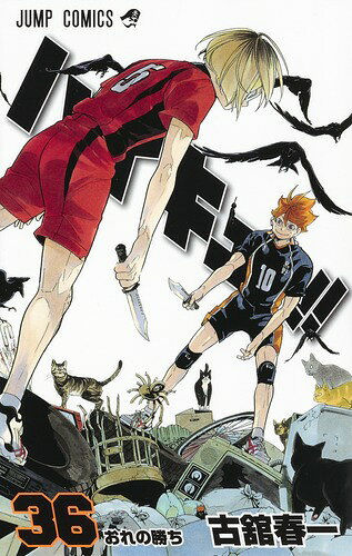 Haikyu!! Tomo 36