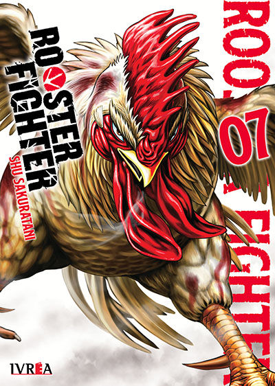 Rooster Fighter Tomo 07