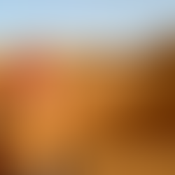 La vida bautizada y el ministerio de Cristo