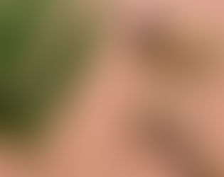 All About Ash Wednesday