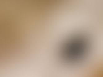 LABBOR reúne especialistas em Lepidoptera em workshop gratuitoÂ