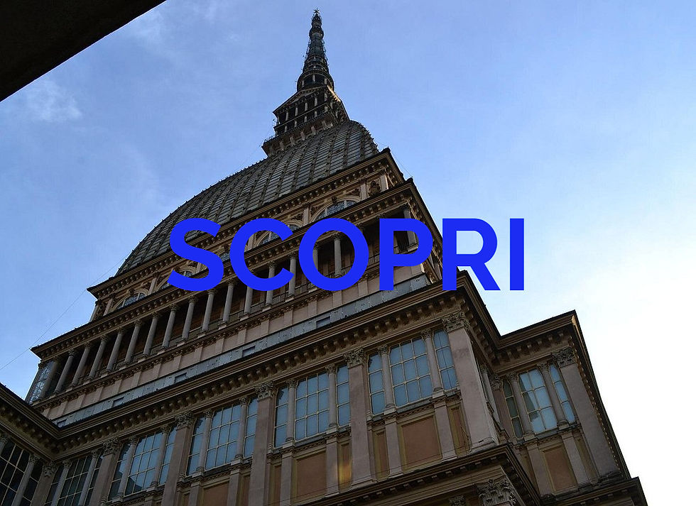 Visita guidata al Museo del Cinema e Mole Antonelliana