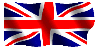 LINGUA INGLESE.