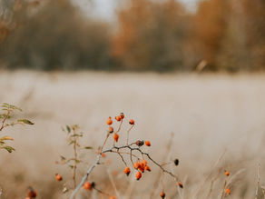 Finding beauty in the unexpected