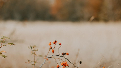 Finding beauty in the unexpected