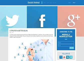 social media blog website template wix