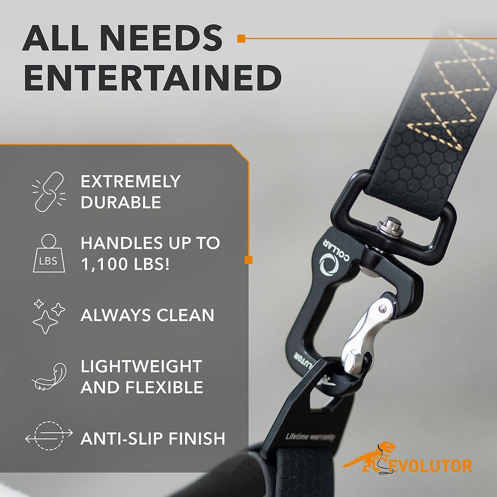 Thumbnail: Black Extra Heavy Duty Dog Leash 4 Ft x 1 in for Large Medium and Small Dogs
