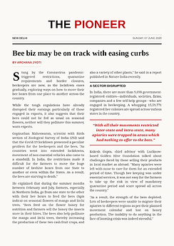 06.2020 The Pioneer, June 2020 — news clipping on Golden Hive Foundation's bee conservation
work 