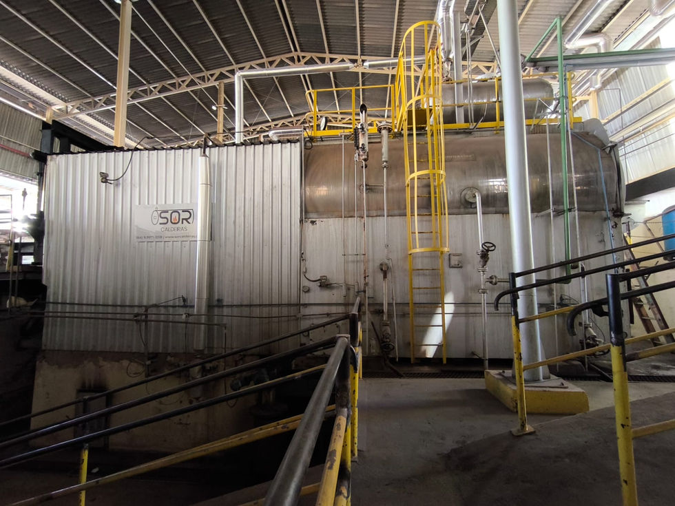 WhatsApp Image 2024-08-31 at 14.49.02