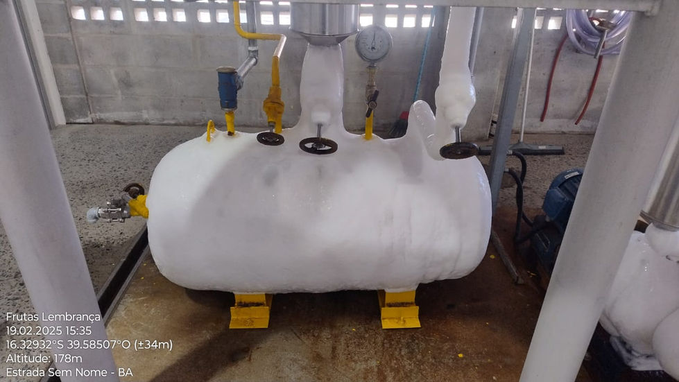 WhatsApp Image 2025-02-20 at 07.49.10