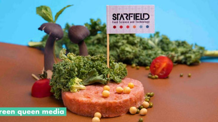 Chinese Agri-Food Tech Companies Raised US$6 Billion in 2020