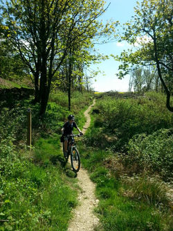 Sutton Bank