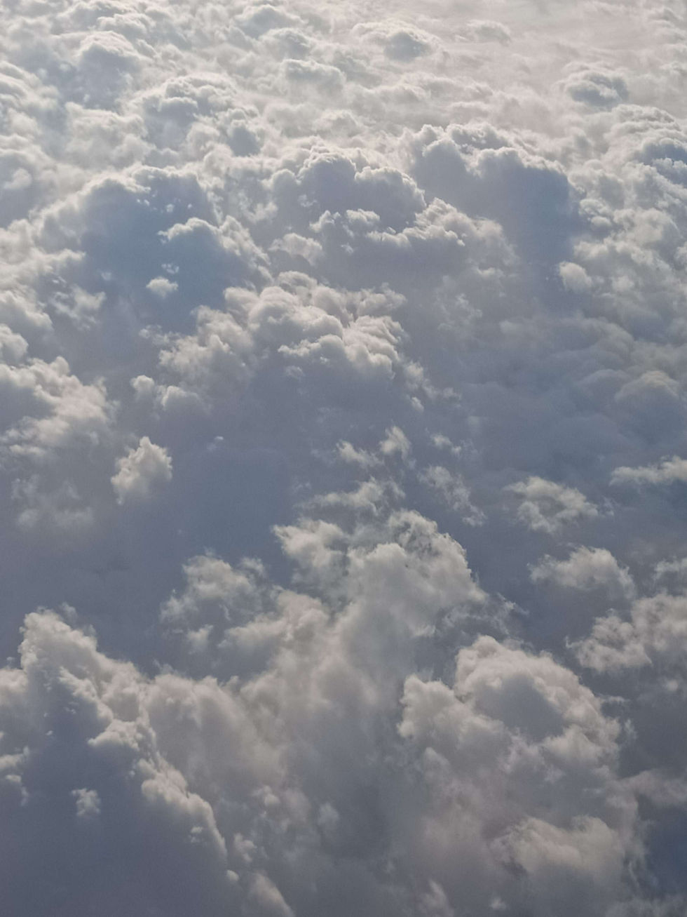 The Stone The Ark The Rock The Heart