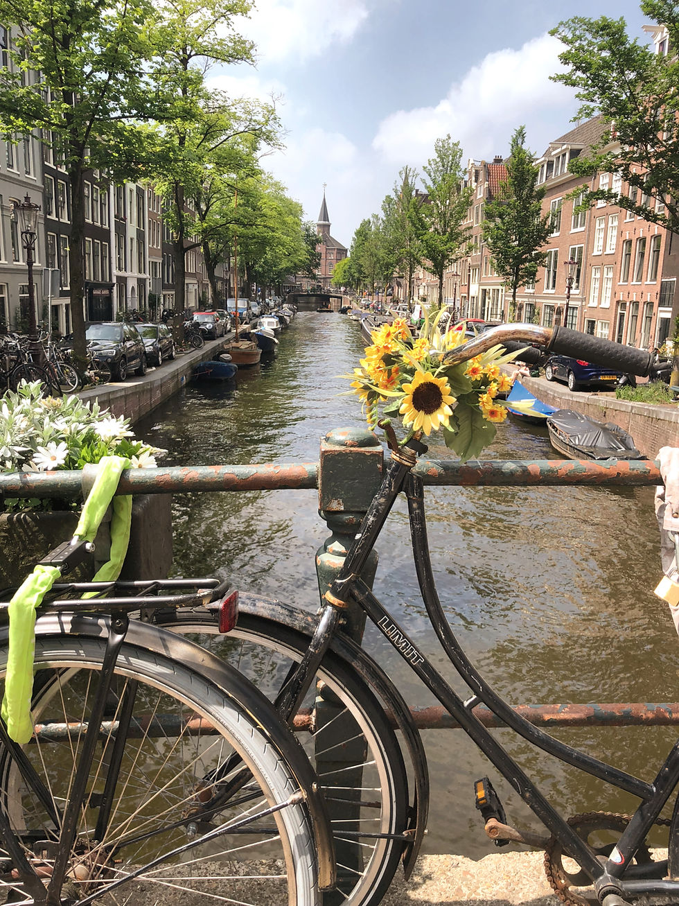 How to Choose the Best Travel Concierge Service