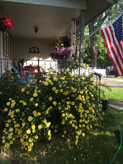 Mass plantings are eye catchers.