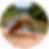 slider_02_mosquito_malaria