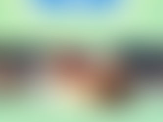 活動報告⑳HP更新しました編