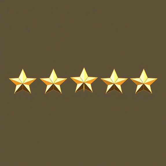 5 gold stars horizontally in a row _edited.jpg