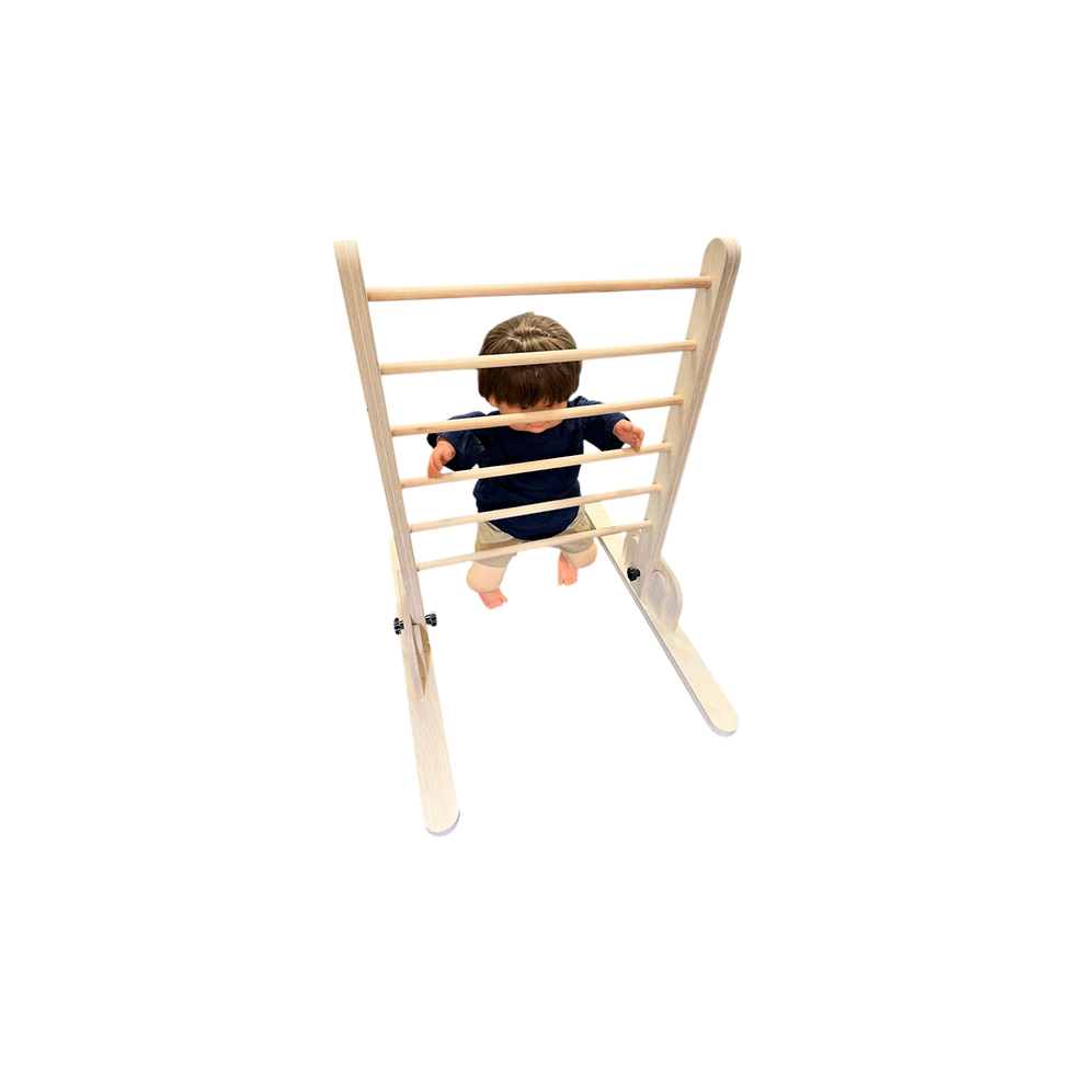 Thumbnail: Sit-to-Stand Ladder for Paediatric Therapy