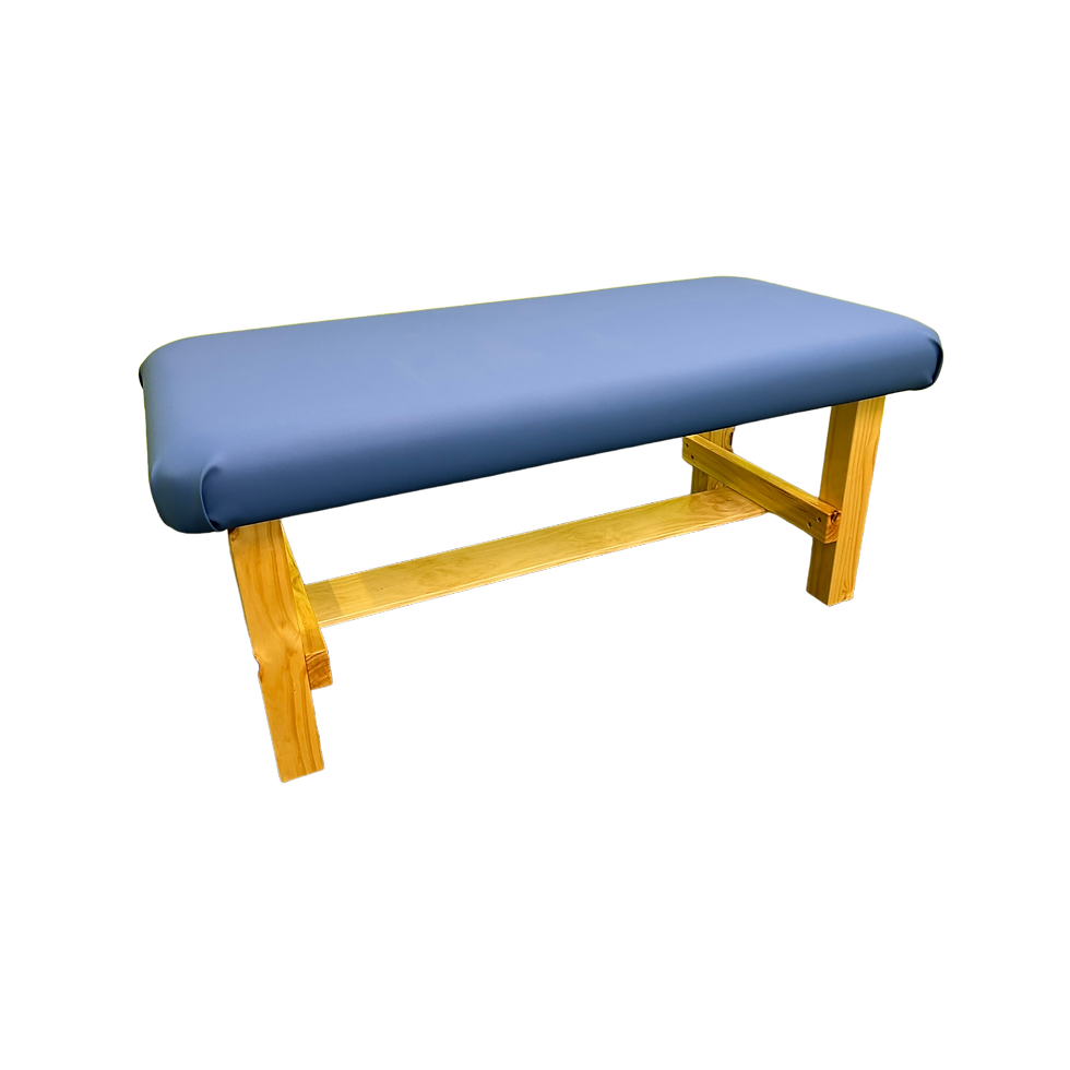 Thumbnail: Therapy Table Bed - DMI Type