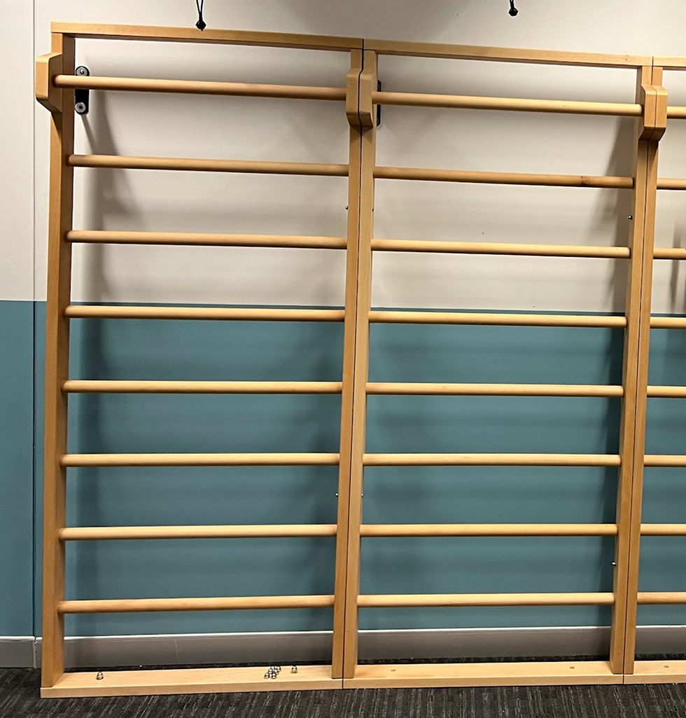 Thumbnail: Climbing Frame and Wall Activity Frame