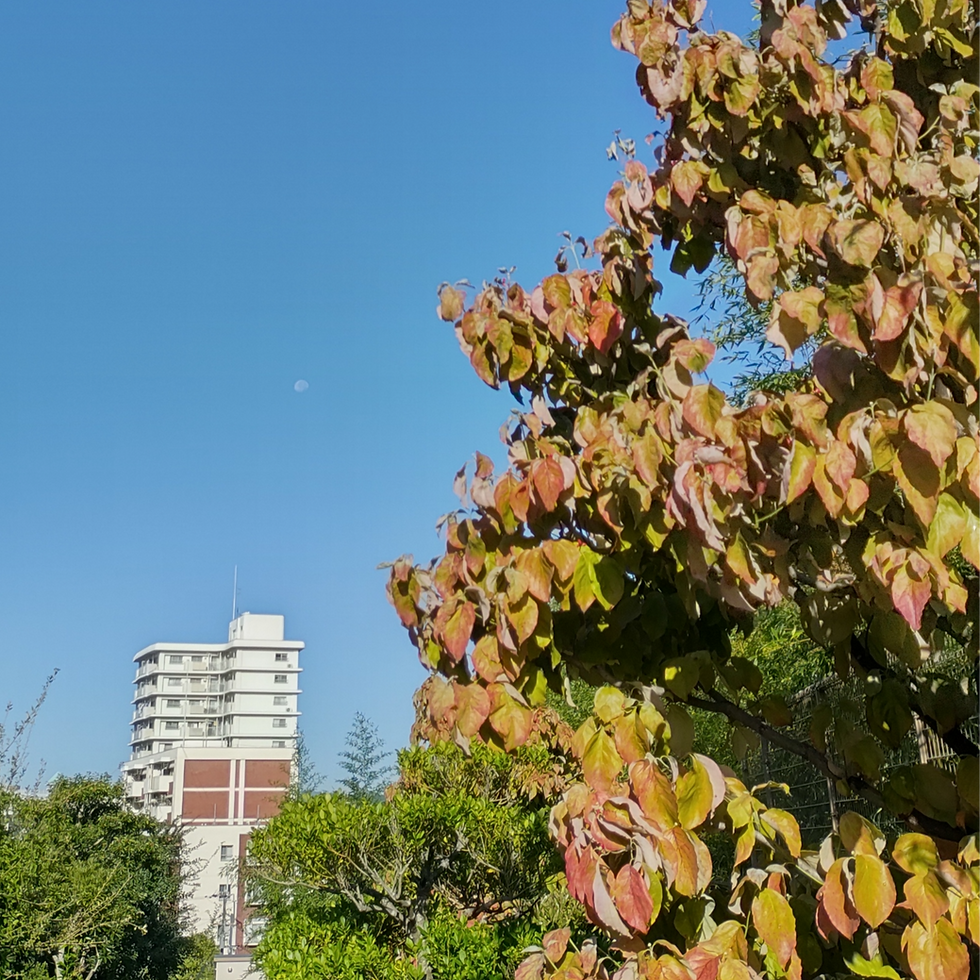 10月スタート