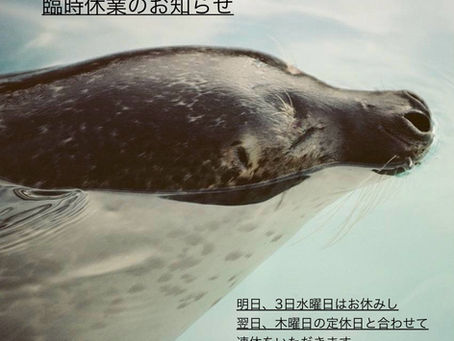 明日はお休みします