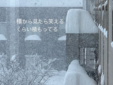 仕方ないですね。