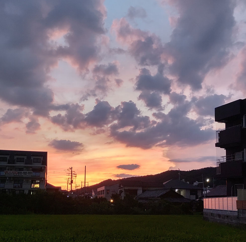 見えさえすればではない